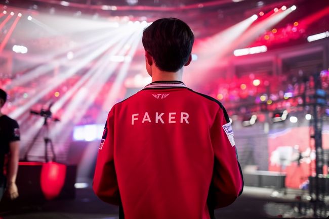 适应与自律 适应与自律